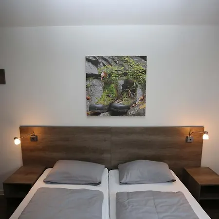 Apartment Ferienwohnung Bergwiese Winterberg