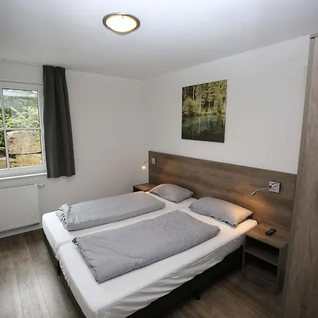 Apartment Ferienwohnung Bergwiese Winterberg
